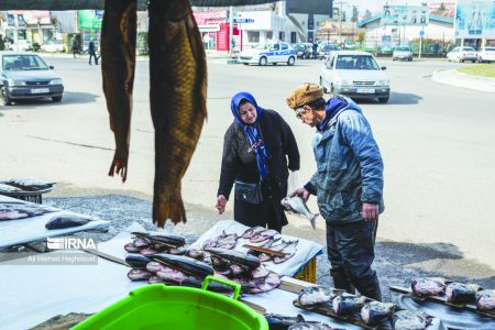 ماهی فروش متخلف در زنجان جریمه شد