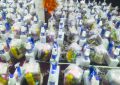 مدیر مؤسسه خیریه آبشار عاطفه‌ها در ابهر خبر داد: تهیه ۱۰۰ بسته کالایی برای نیازمندان ابهری